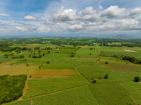 Farmland with rice fields in tropical mountain. Blue sky and clouds. Mindanao, Philippines.