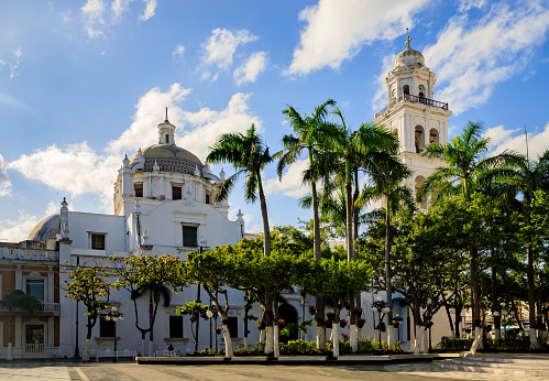 Side view of the building that is the current Diocese of Veracruz, rebuilt and restored in its neoclassical style, to the right is the port's base where there are palm trees, almond trees and other tropical plants. Its unique bell tower and dome stand out.