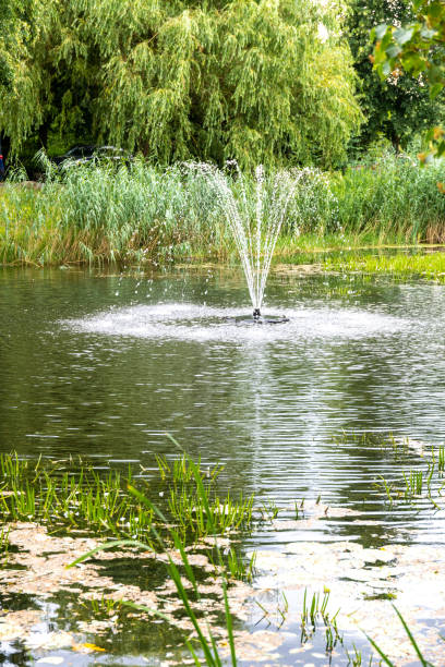istock Tranquil Park Fountain Amidst Lush Greenery and Pond 2011128166