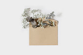 Elegant flowers and green leaves in open craft paper envelope isolated on white table background. Gypsophila, eucalyptus twigs growing from envelope. Copy space, flat lay, top view. Floral birthday