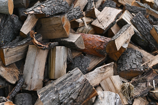 Natural biological fuel from chopped wooden logs. close-up