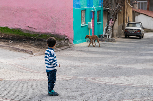 The boy wanders the streets of the old neighborhood. colorful walls and cobblestone streets. A stray dog ​​and an old car are visible in the blurred area. Shot in daylight with a full frame camera.