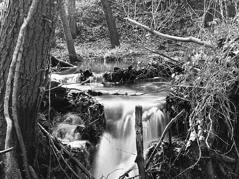 Long exposure water flowing through a remote forest in County Durham