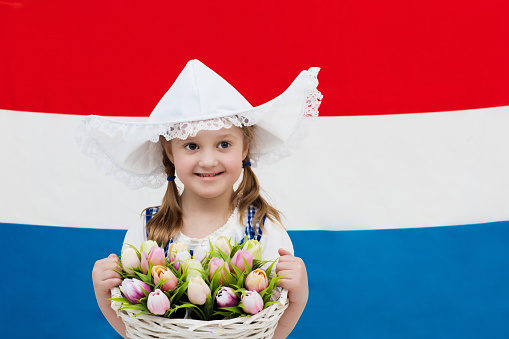 Little Dutch girl wearing traditional national costume, dress and hat holding basket of tulips at flag of the Netherlands. Child with souvenirs from Holland. Kid with tulip flowers.