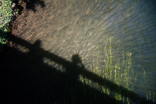 Reflection of two people on the pond view in the clear waters in a warm summer day