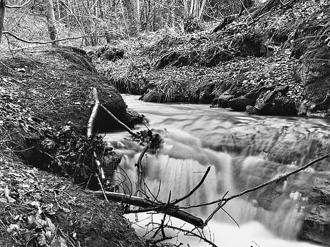 Long exposure flowing water in a remote woodlands in County Durham