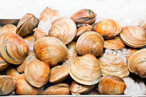 The carpet clam, also known as Palourde clam, is one of the special types of clams. It is a real taste explosion; connoisseurs appreciate the fine meat and the particularly intense mussel taste.