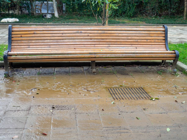 istock A storm drain filled with water in a park. Clogged storm drain. Infrastructure not working. Utility accident 2011237122