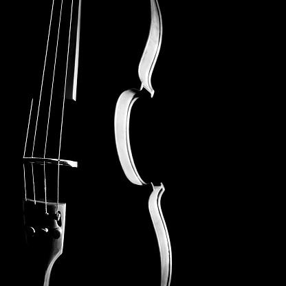 Violin orchestral musical instrument. Silhouette strings closeup on black