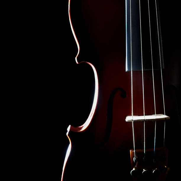 istock Violin orchestra musical instrument 2011257302