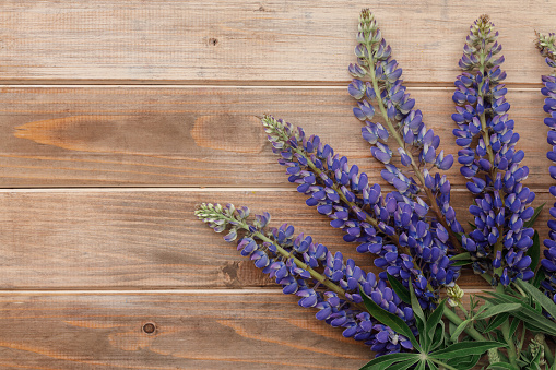 background bouquet of fresh summer flowers lupine on brown wooden table, copy space