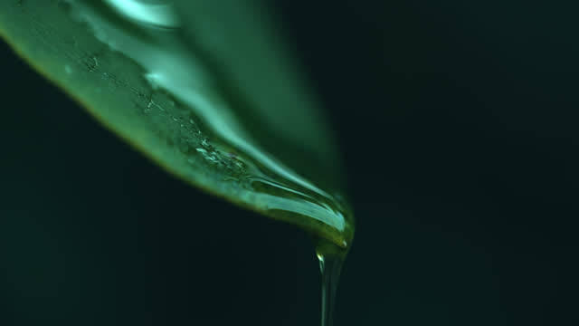 SLO MO Extreme Closeup Shot of Raindrops Falling from Green Leaf Against Dark Green Background