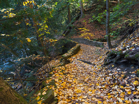 A shaded path strewn with autumn leaves above the Chagrin River in the South Chagrin Reservation near Cleveland, Ohio