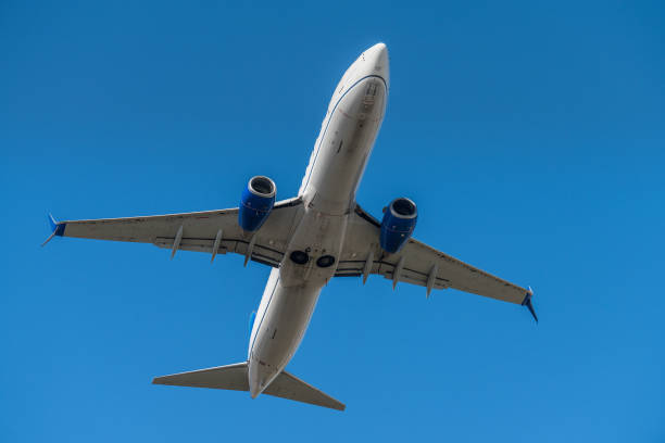Miami, USA - February 14, 2024: United Airlines airplane (Boeing 737-8 Max) taking off from Miami International Airport. United Airlines is the third-largest airline in the world after its merger with Continental Airlines.