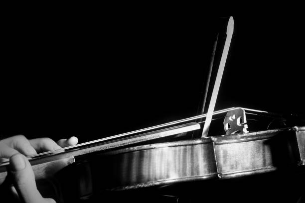 Violinist hands on a black background in black and white