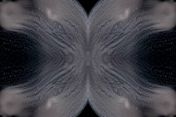 The image is mirrored as that way it intrigues the eye. Subtle, graceful, elegant. dramatic