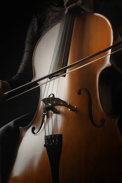 istock Cello musical instrument cellist playing 2011325889