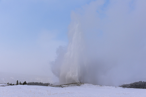 Old Faithful geyser erupting in the winter in Yellowstone National Park, Wyoming.