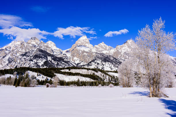 istock Grand Teton Range in winter 2011410476