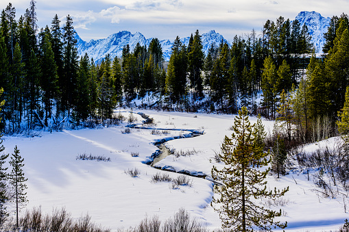 Stream Flowing into the Snake River in Grand Teton National Park, Wyoming in Winter.
