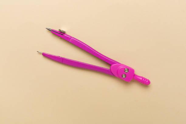 Divider on color backgroung, top view