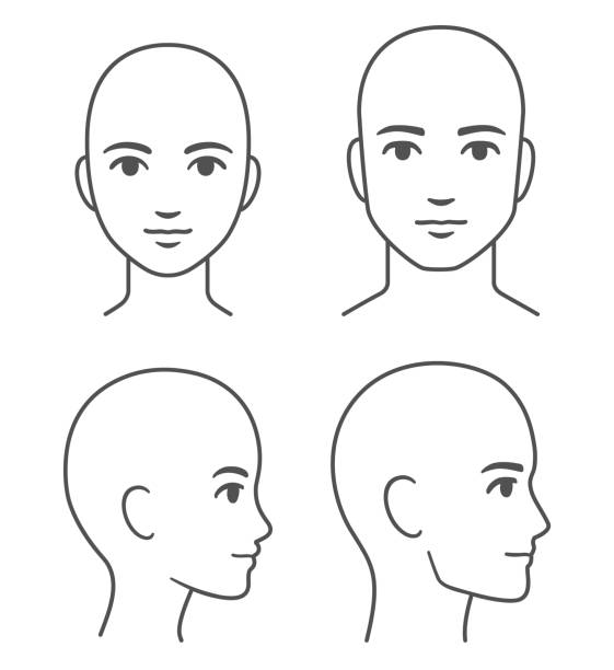 ilustrações de stock, clip art, desenhos animados e ícones de male and female face and head profile template - mulher careca