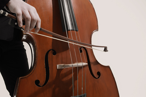 The hand of man playing the double bass in the orchestra closeup