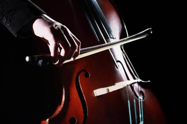 istock Double bass player. Hands playing contrabass 2011423422