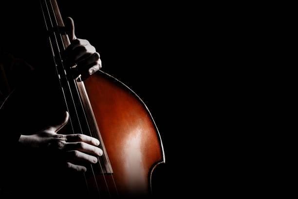 Hands of a musician playing on a double bass closeup in black and white tones