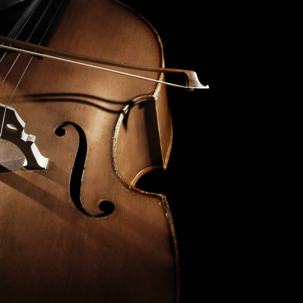 istock Double bass player. Contrabass with bow 2011427011