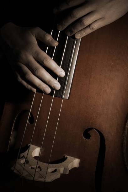 istock Double bass player. Hands playing contrabass strings pizzicato. 2011427013