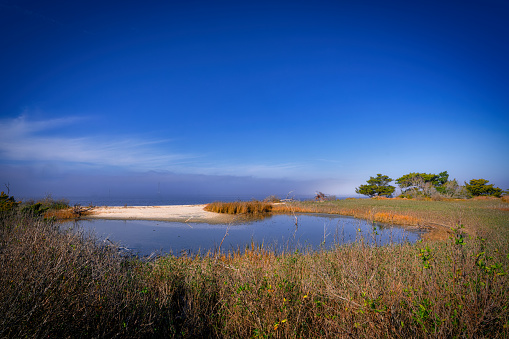 A coastal landscape of a tide pool of water surrounded by grass under a blue sky in Wilmington, NC