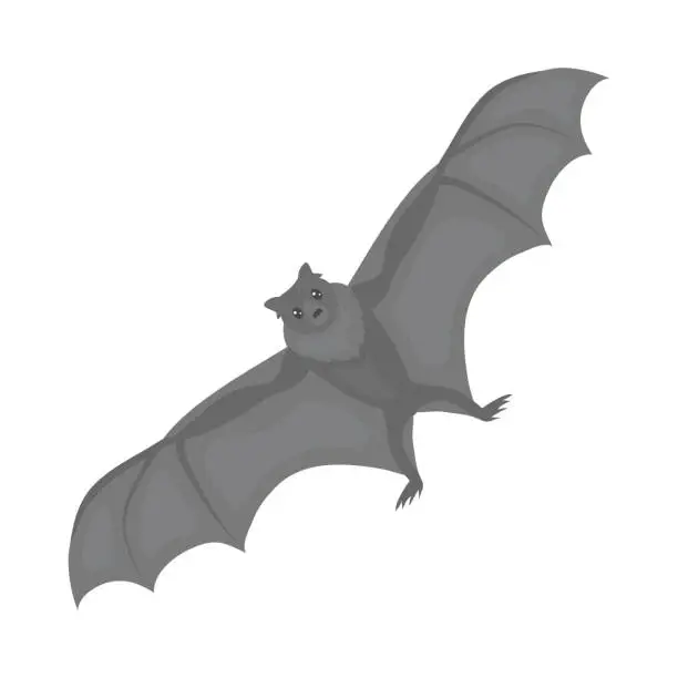 Vector illustration of Virus Nipah