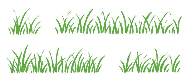 ilustrações, clipart, desenhos animados e ícones de grass doodle ink brush sketch set. hand drawn vector grass field grunge texture brush background. doodle herb, organic pattern elements. vector - spring clover leaf shape clover sketch