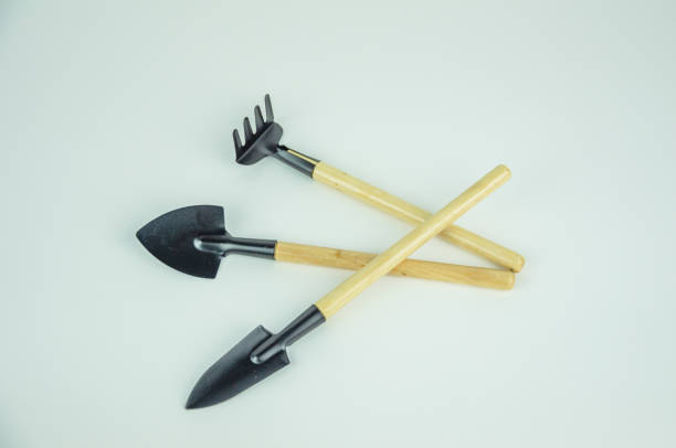 istock Garden tool rake with shovel on white background 2011484009