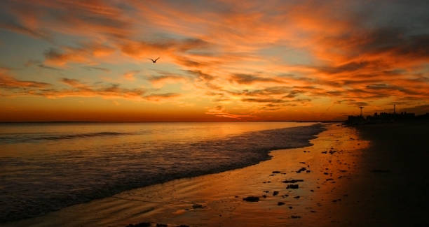 istock Red sunset over Brighton Beach, New York, USA 2011485049