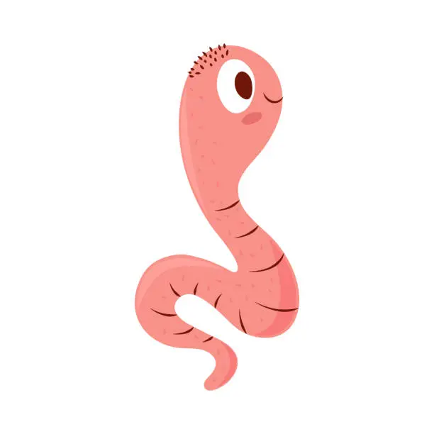 Vector illustration of earthworm insect cartoon