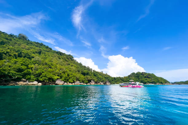 Cruise yachts and boats near the Similan Islands, Thailand stock photo