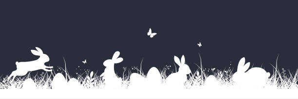 ilustraciones, imágenes clip art, dibujos animados e iconos de stock de fondo de pascua. estandarte de pascua con hierba y conejito. conejito de pascua o conejo con huevos y mariposa en la hierba - daffodil flower silhouette butterfly