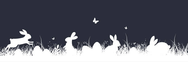 illustrations, cliparts, dessins animés et icônes de easter background. easter banner with grass and bunny. easter bunny or rabbit with eggs and butterfly on the grass - daffodil flower silhouette butterfly
