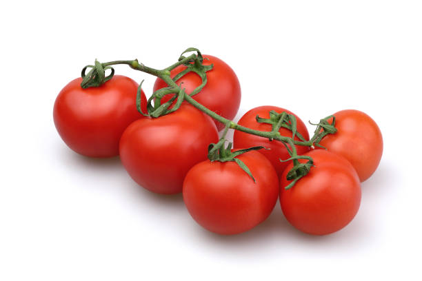 istock Tomatoes on a branch. Cocktail tomato variety. 2011594815