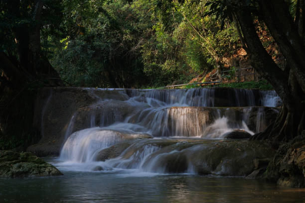 small waterfall in green forest stock photo