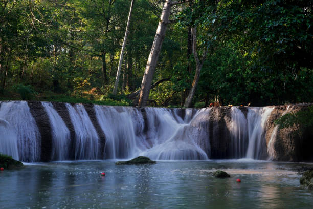 small waterfall in green forest stock photo