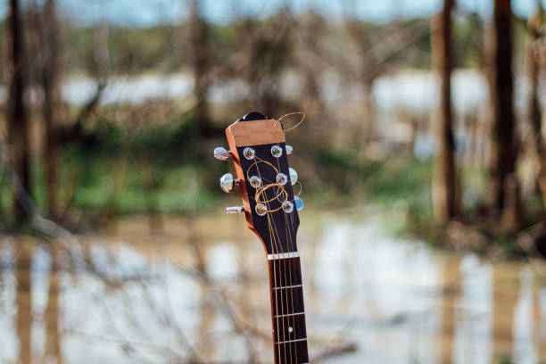 beautiful guitar in nature