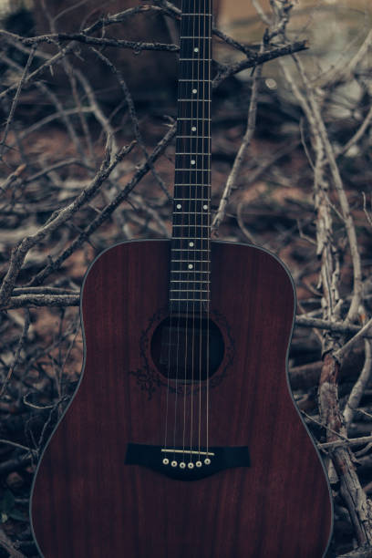 istock beautiful guitar in nature 2011714677
