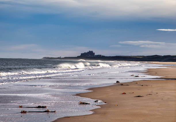 looking towards bamburgh from ross back sands in northumberland, england - bamburgh castle beach sky 뉴스 사진 이미지
