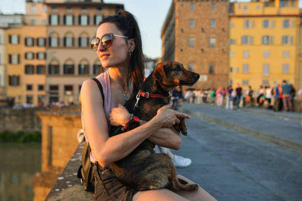 istock visiting Florence with a pet companion 2011776493