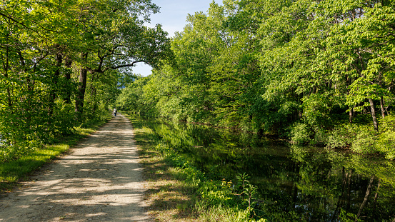 Hiking by the canal: green grove and a natural trail with a tourist in the distance in Walnutport, Pennsylvania
