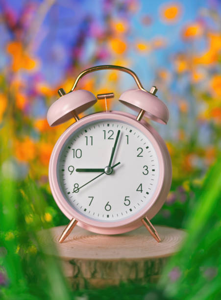 istock Spring Forward Concept: A Retro Pink Alarm Clock in a Beautiful Summer Spring Outdoor Garden 2011859751
