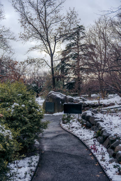 istock Snowy City Park Pathway Wide Shot 2011866177